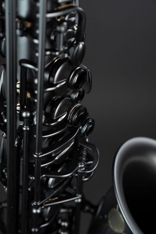 alto-saxophone-selmer-supreme-2025-limited-edition_0019.jpg