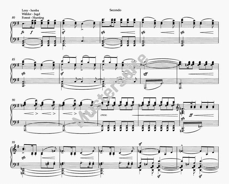 bedrich-smetana-die-moldau-pno4ms-_0007.JPG