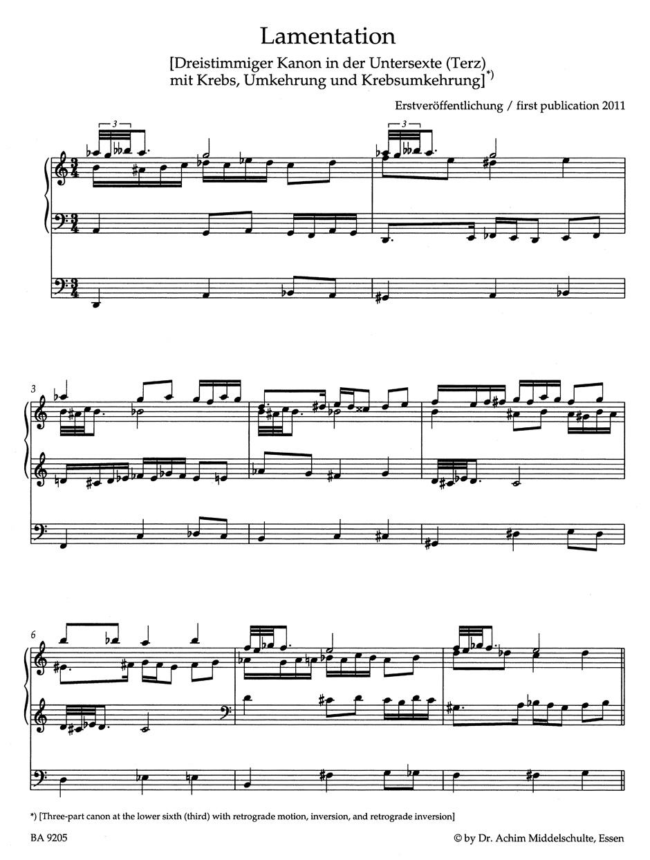 wilhelm-middelschulte-saemtliche-orgelwerke-vol-5-_0007.JPG