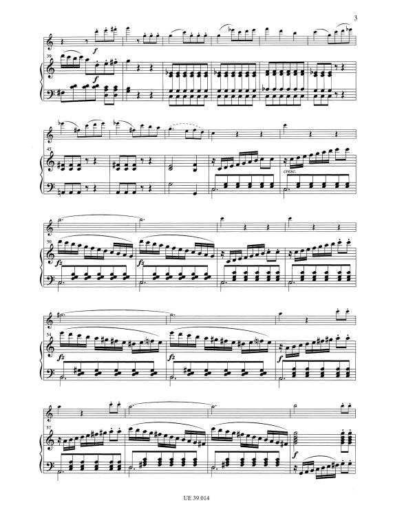 gaetano-donizetti-sonata-fl-pno_0004.jpg