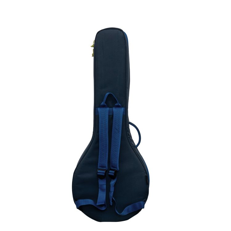 ritter-carouge-4-5-string-banjo-atlantic-blue-acce_0003.jpg