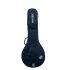 ritter-carouge-4-5-string-banjo-atlantic-blue-acce_0001.jpg
