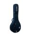 ritter-carouge-4-5-string-banjo-atlantic-blue-acce_0002.jpg