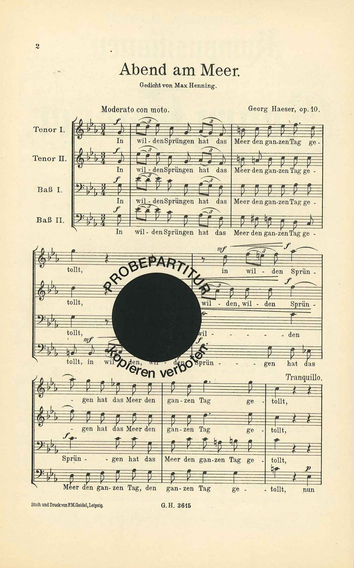 georg-haeser-abend-am-meer-op-10-mch-_0006.JPG