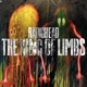 the-king-of-limbs-radiohead-xl-recordings-lp-analo_0001.JPG