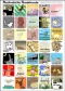 hundeposter-mit-musik-50x70cm-huelk-poster-poster-_0001.JPG