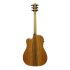 westerngitarre-cole-clark-modell-fl1ec-bb-hum-natu_0002.jpg