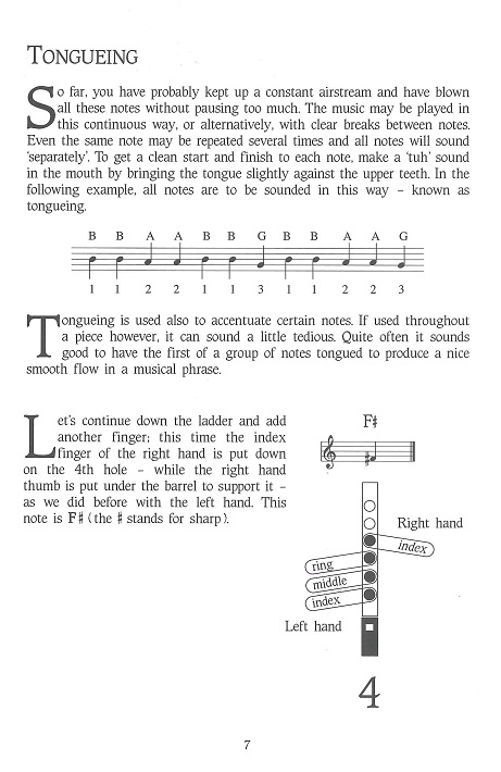 tom-maguire-the-tin-whistle-book-whistle-_0006.JPG