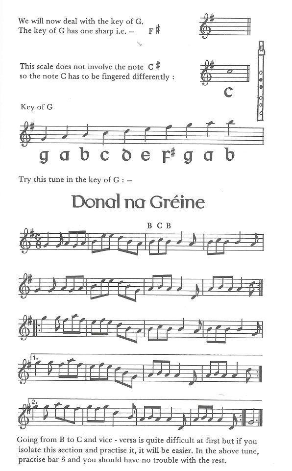 geraldine-cotter-traditional-irish-tin-whistle-tut_0006.JPG