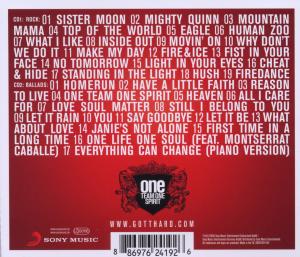 one-team-one-spirit-gotthard-cd-_0002.JPG