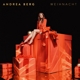 weihnacht-cdrezeptbuch-bundle-berg-andrea-cd-_0001.JPG