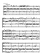 wolfgang-amadeus-mozart-quartette-kv-285285a285b29_0007.JPG