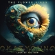 look-at-you-now-ltd-cd-digipak-flower-kings-the-cd_0001.JPG