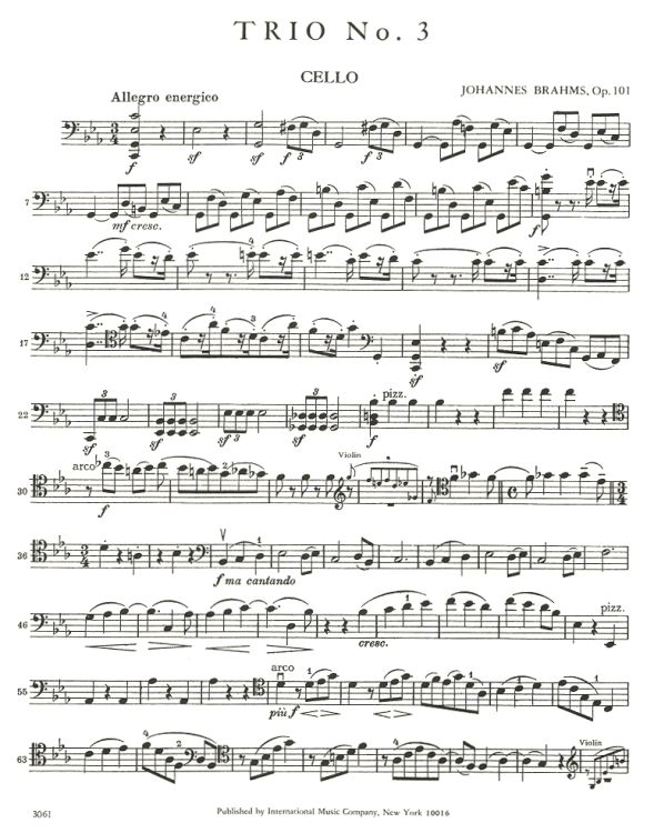 johannes-brahms-trio-op-101-c-minor-vl-vc-pno-_pst_0004.jpg