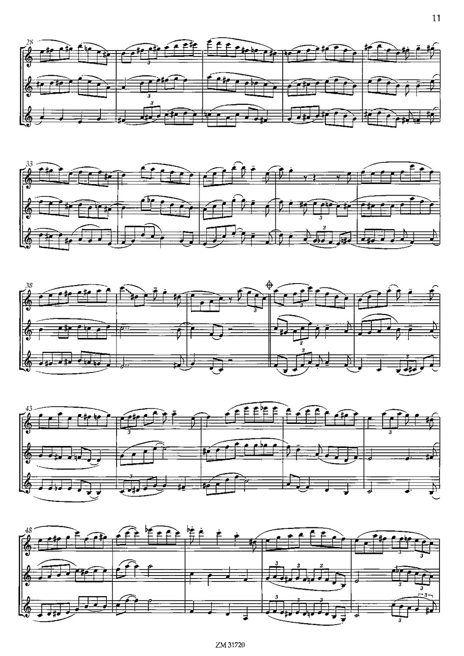 adi-reininger-swinging-clarinets-jazz-trio-3clr-_p_0006.JPG