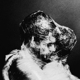 i-was-in-love-lord-kesseli-and-the-drums-irascible_0001.JPG