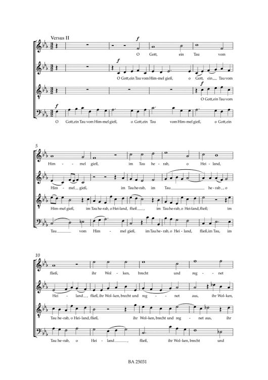 johannes-brahms-o-heiland-reiss-die-himmel-auf-op-_0002.jpg