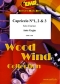 ante-grgin-capriccio-no-123-clr-_0001.JPG