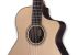 klassische-gitarre-furch-modell-gnc-4-sr-eas-vtc-n_0003.jpg