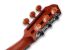 klassische-gitarre-furch-modell-gnc-4-sr-eas-vtc-n_0010.jpg