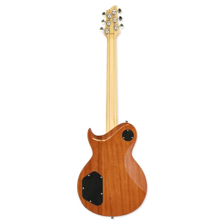 electric-guitar-aria-model-pe-480-hh-sbk-_0004.jpg