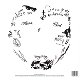 tha-carter-vi-lp-lil-wayne-_republic-lp-analog-__0002.JPG