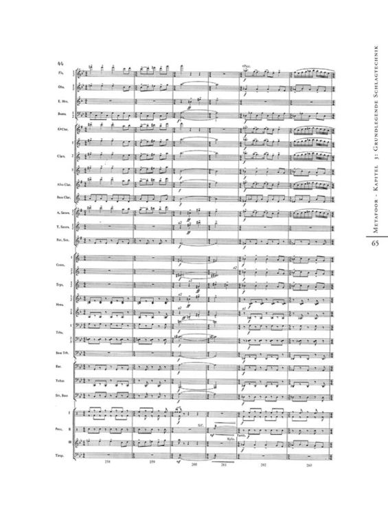 alex-schillings-metafoor-die-sprache-des-dirigiere_0004.jpg