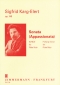 sigfrid-karg-elert-sonata-appassionata-op-140-fl-_0001.JPG