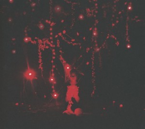 the-danger-of-light-deluxe-edition-hunger-sophie-c_0001.JPG