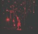 the-danger-of-light-deluxe-edition-hunger-sophie-c_0001.JPG