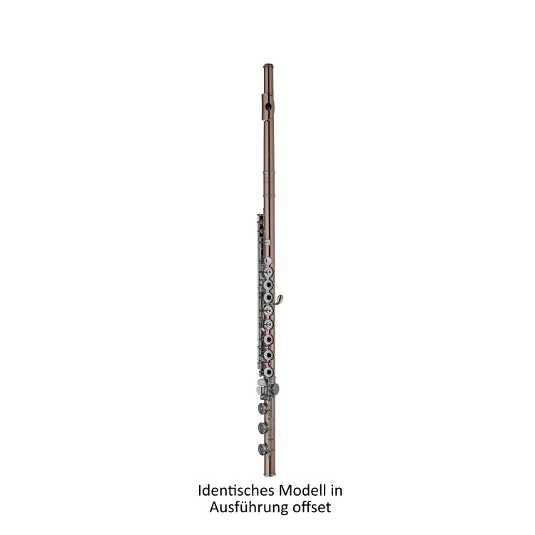 flute-sankyo-handmade-sr-10k-roh-red-gold-polished_0001.jpg