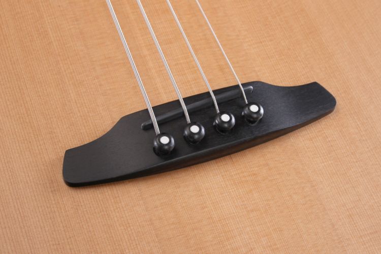 acoustic-bass-furch-model-bc-61-cm4-eas-vtc-natura_0008.jpg