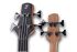 acoustic-bass-furch-model-bc-61-cm4-eas-vtc-natura_0001.jpg