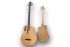 acoustic-bass-furch-model-bc-61-cm4-eas-vtc-natura_0002.jpg