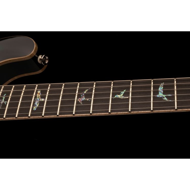 e-gitarre-paul-reed-smith-modell-hollowbody-ii-pie_0005.jpg