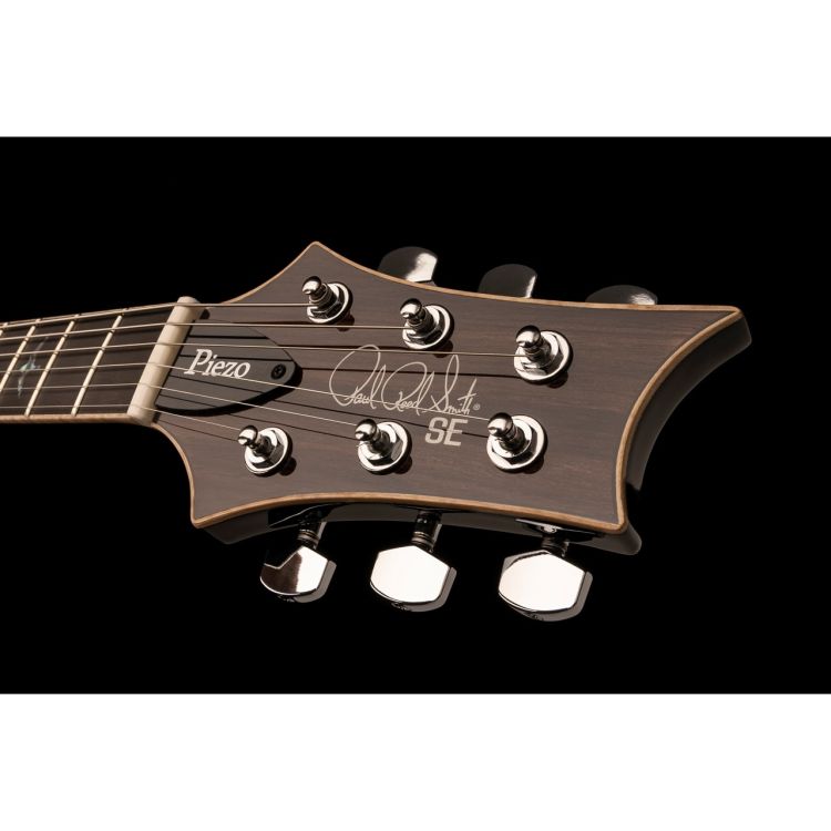 e-gitarre-paul-reed-smith-modell-hollowbody-ii-pie_0006.jpg