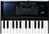 synthetiseur-roland-modele-k-25m-boutique-noir-_0001.jpg