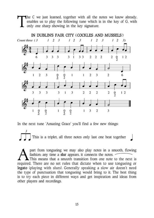 tom-maguire-the-tin-whistle-book-whistle-_noten-mi_0003.jpg
