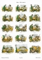 der-virtuos-poster-29-6x42cm-schott-music-poster-_0001.JPG
