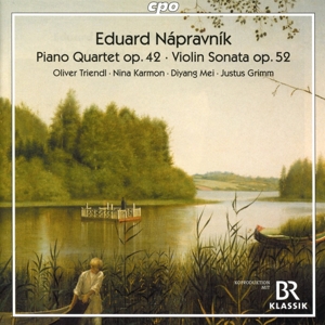 piano-quartet-violin-sonata-oliver-triendl-piano-n_0001.JPG