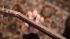 peter-bursch-gitarrenbuch-band-1-gtr-_notencddvd_-_0007.JPG
