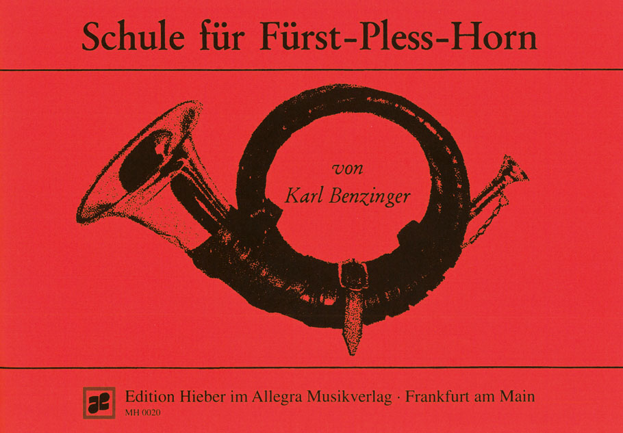 karl-benzinger-schule-fuer-fuerst-pless-horn-1-jag_0001.JPG