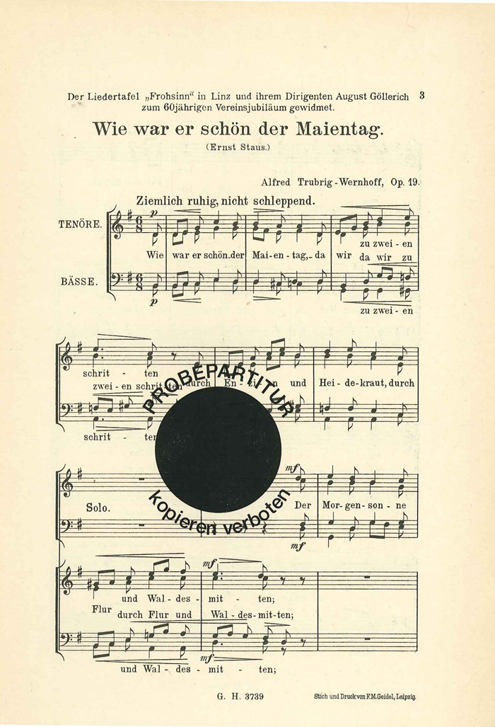 alfred-trubrig-wernhoff-wie-war-er-schoen-der-maie_0001.JPG