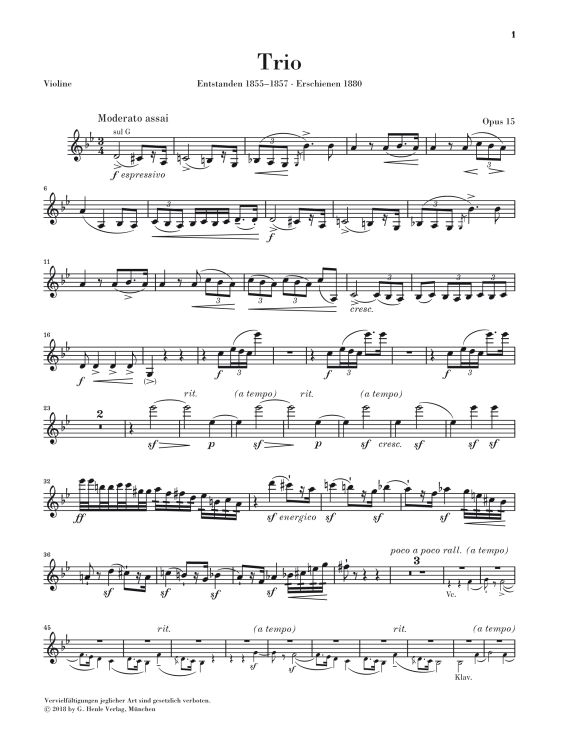 bedrich-smetana-klaviertrio-op-15-g-minor-vl-vc-pn_0005.jpg