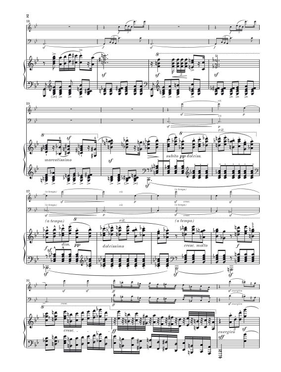 bedrich-smetana-klaviertrio-op-15-g-minor-vl-vc-pn_0010.jpg