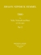 johann-nepomuk-hummel-trio-op-12-es-dur-vl-vc-pno-_0001.JPG