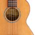 concertukulele-kai-modell-kci-700-bocote-_0007.jpg