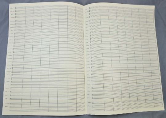 notenschreibpapier-blasmusik-lagen-_300x420mm-mit-_0001.JPG
