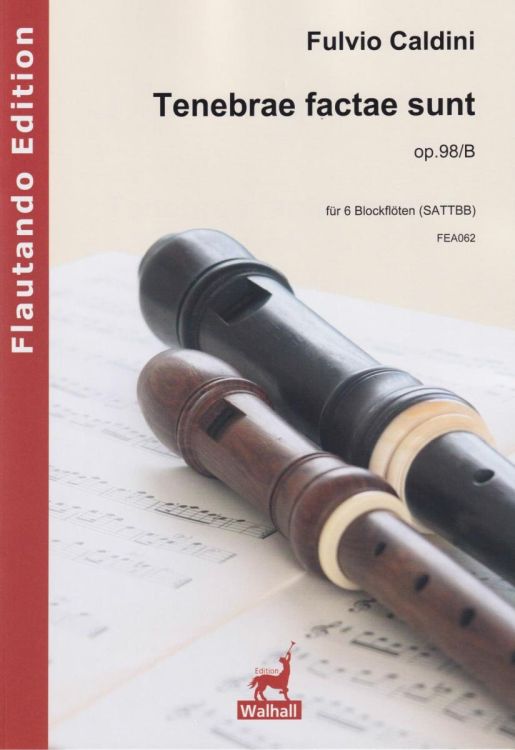 fulvio-caldini-tenebrae-factae-sunt-op-98b-sblfl-a_0001.jpg