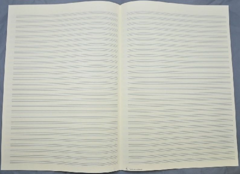 notenpapier-28-systeme-lagen-_28-systeme-300x420mm_0001.JPG